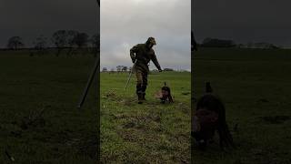 Download Lagu A nice crosser behind me … MP3