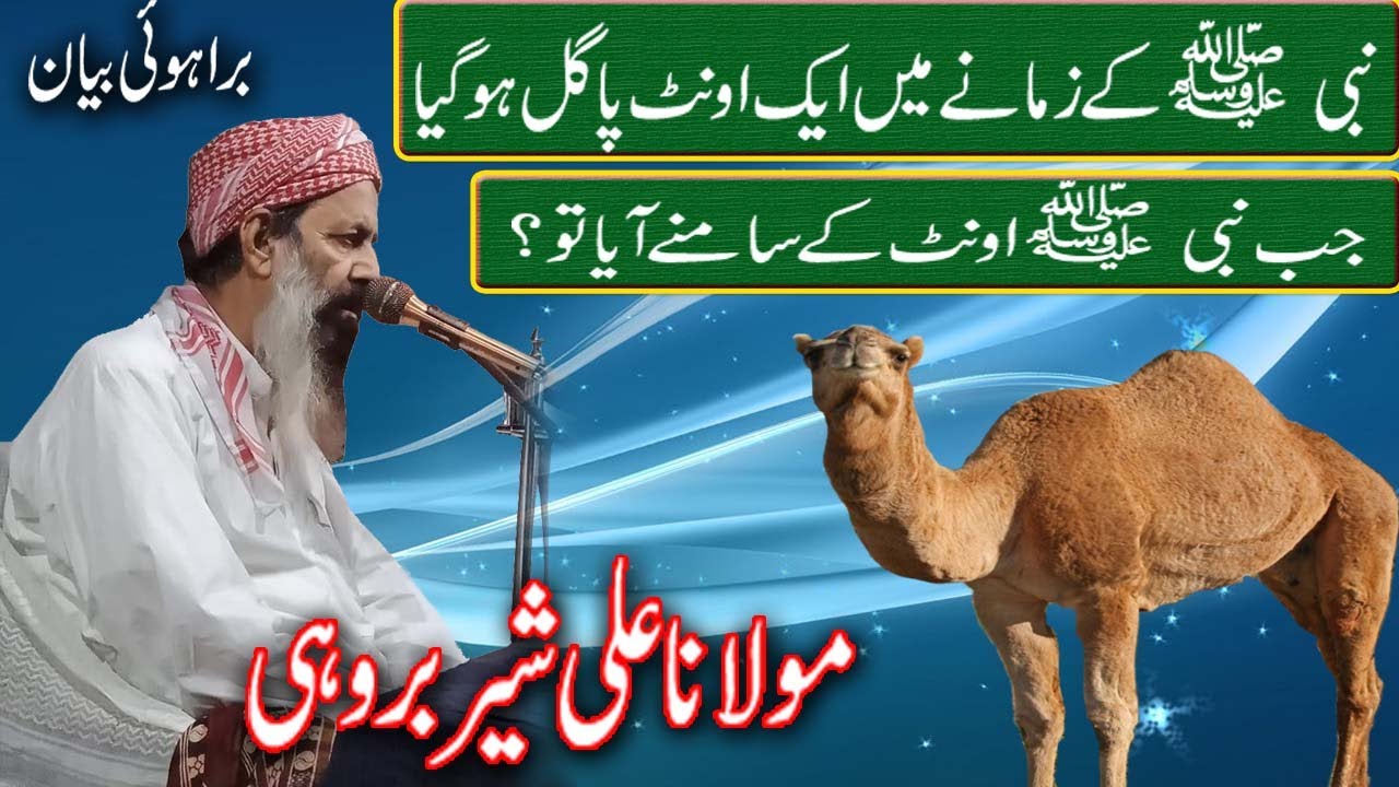 Moulana Ali Sher Brohi New Bayan 2023 | seerat ul nabi s | emotional bayan |  مولانا علی شیر بروہی