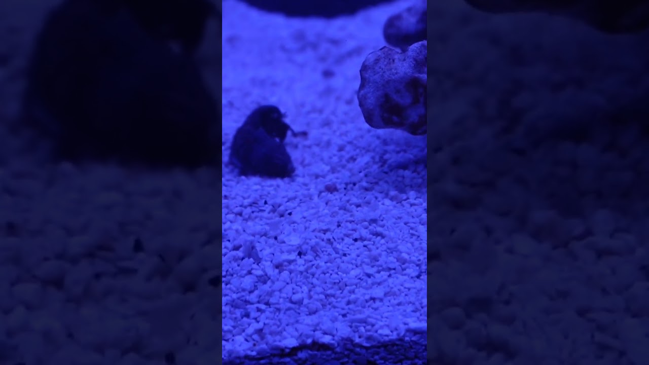 Добро пожаловать в Рыбную Страну! 