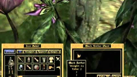 Elder Scrolls III: Morrowind Part 2