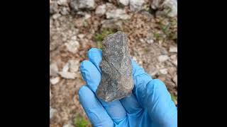 Archaic knife blade #shorts #ancientsignsoflife #artifacts #arrowheads #rocks #1m