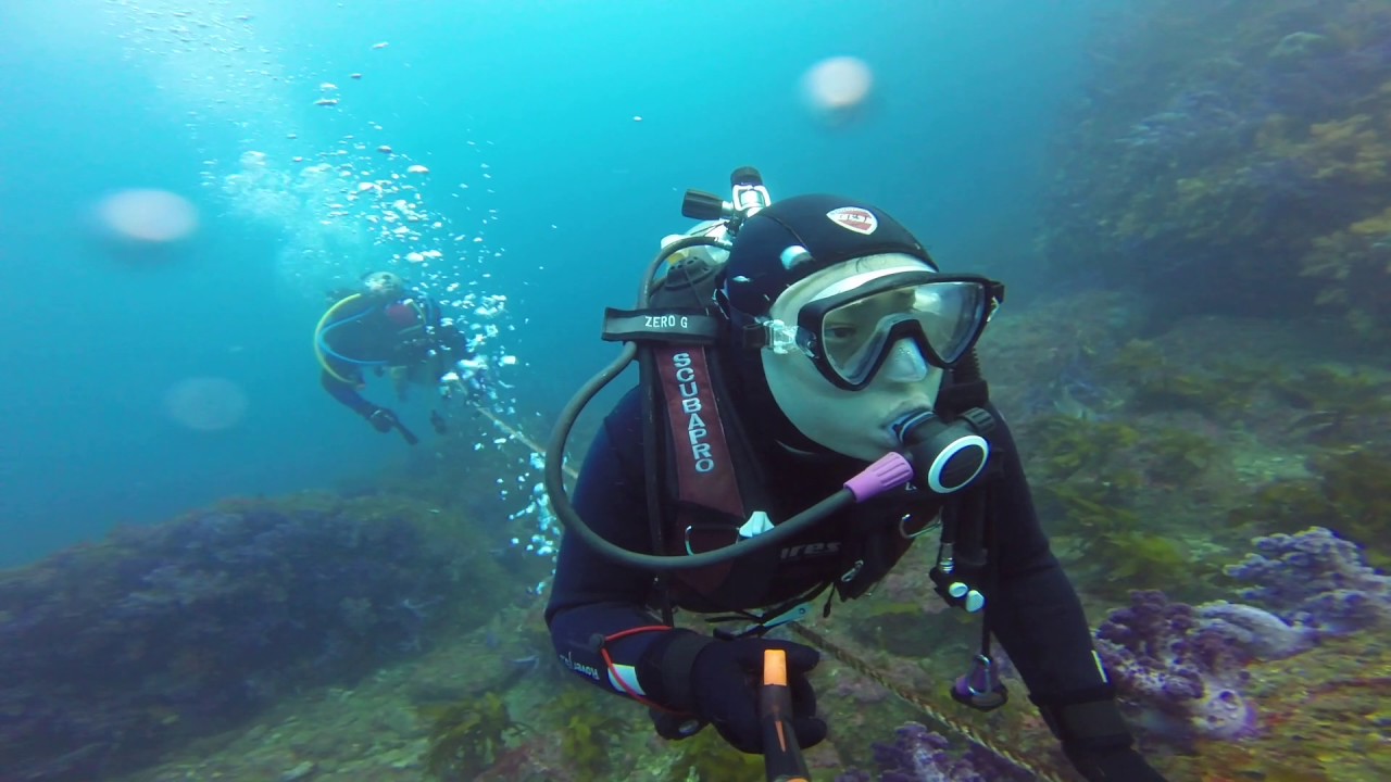 20161124 새끼섬 Scuba Diving at Jeju Island South Korea YouTube