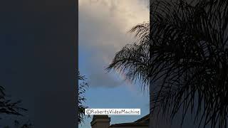 LA Fire Relief
