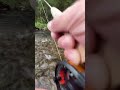 Крупный хариус дает жару 🔥🔥 #хариус #рыбалка #нахлыст #flyfishing #fly