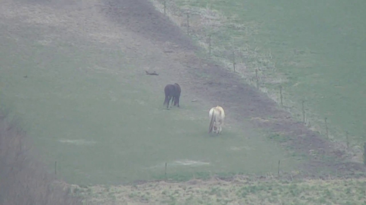 DJI Zenmuse Z30 demo