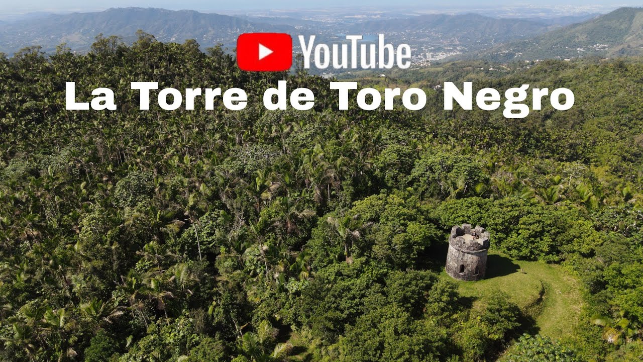 en busqueda de la Torre de Toro Negro