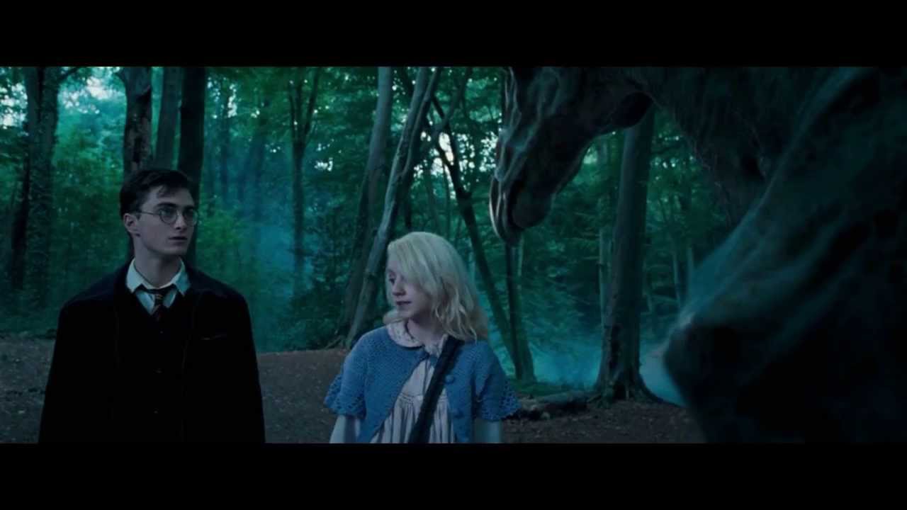 Luna Lovegood Harry Potter E L Ordine Della Fenice Ita Fandub Youtube