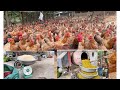 Chicken farm  how to make feed for freerange chickens is simple economical and effective