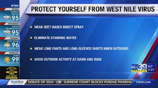 Friday's Galveston Beach Forecast