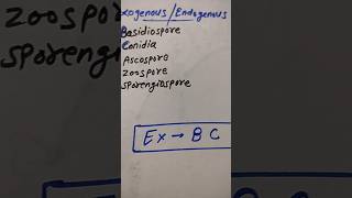 exogenous/ endogenous spore of fungi