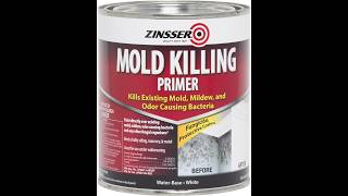 Zinsser 276087 Mold Killing Primer
