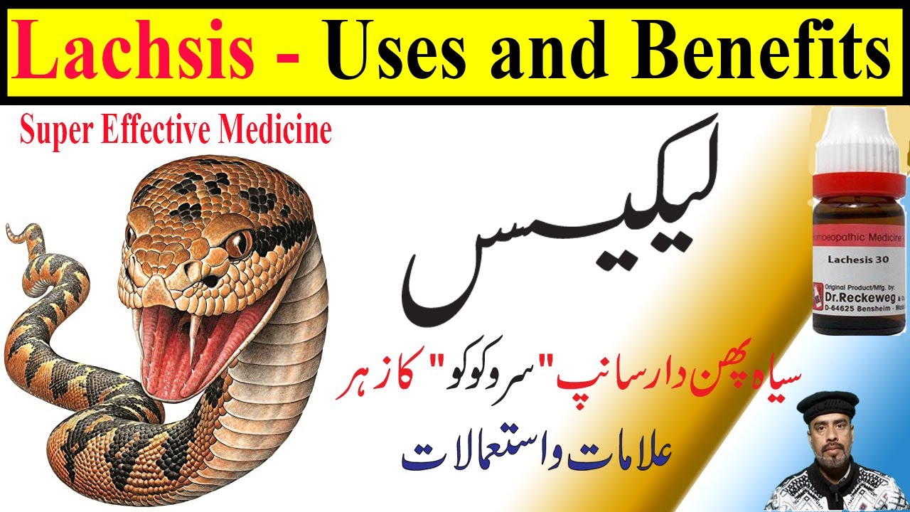 Lachesis 30, 200, 1M,1000 homeopathic medicine uses in Hindi/Urdu