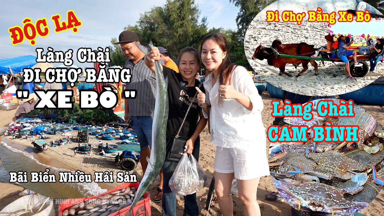 Độc Lạ " ĐI CHỢ BẰNG XE BÒ " trên Biển tại LÀNG CHÀI CAM BÌNH có 102 tại VIỆT NAM | SHVLOG 