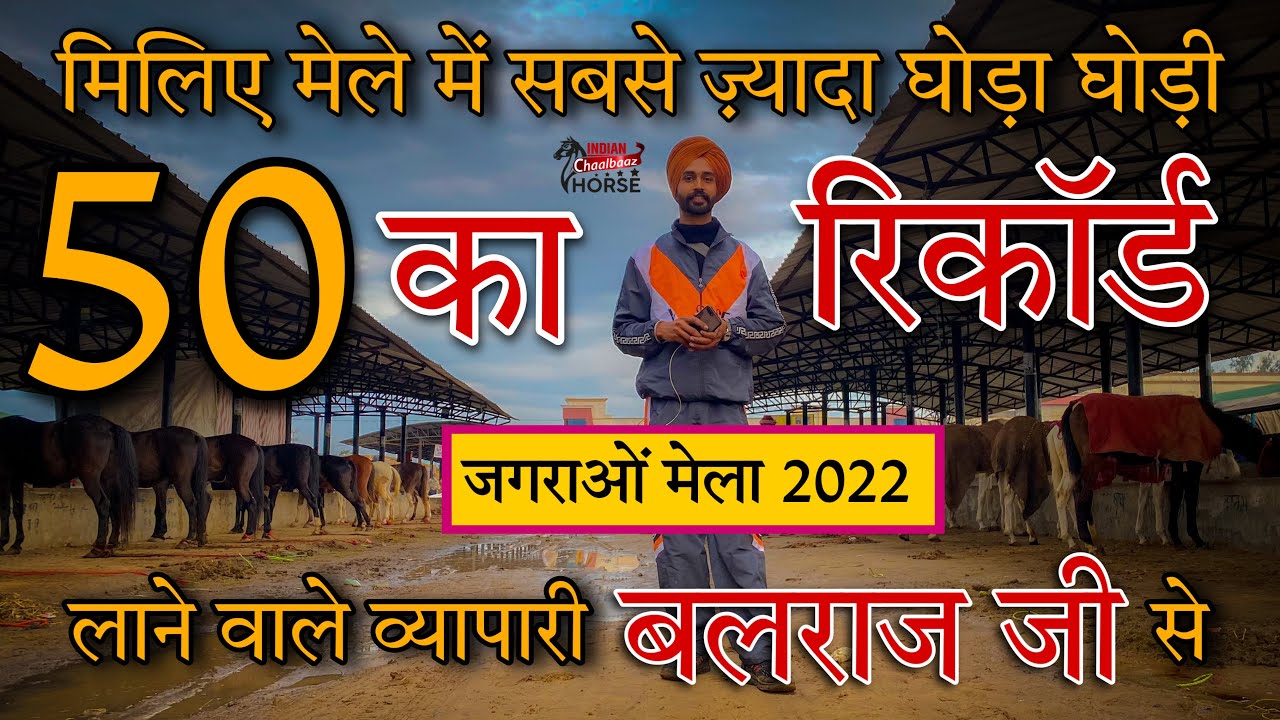 मेले में सबसे ज़्यादा घोड़ा घोड़ी लाने का रिकॉर्ड बलराज जी के नाम 9855589017 Jagraon Mela Punjab2022