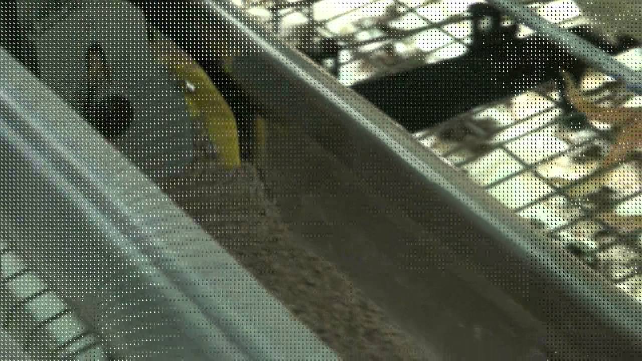 G E ULTIMA   LAYER BATTERY