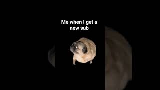 sub