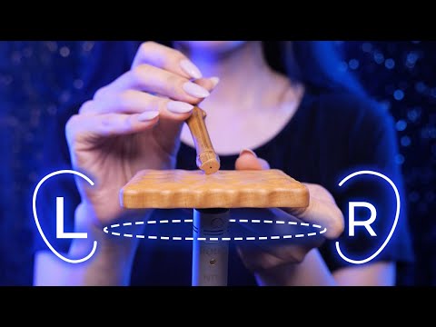 ASMR Brain Penetrating Triggers Ear to Ear for Endless Tingles (No Talking)