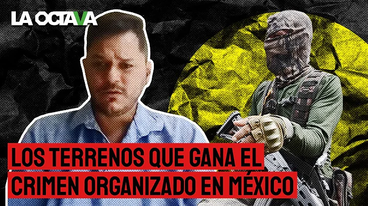LOS BANCOS FINANCIAN el CRIMEN ORGANIZADO y a los ...