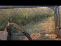 Trailer segment through typical thick vegetation.