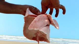 Cook haggis with Persian recipe،in seaside|heart/lung/kidney