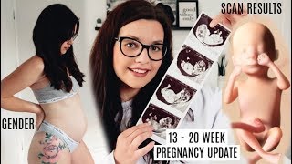 13 - 20 WEEK PREGNANCY UPDATE | THIRD PREGNANCY AFTER MISCARRIAGE