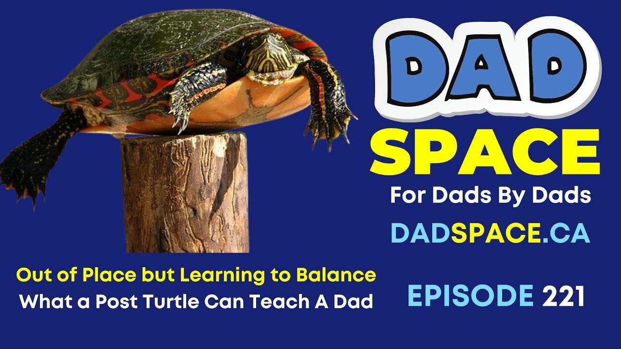 Out of Place but Learning to Balance, What a Post Turtle Can Teach A ...