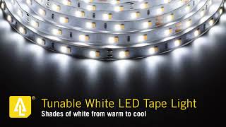 RibbonFlex 24V White CCT Tunable LED Strip Light Tape