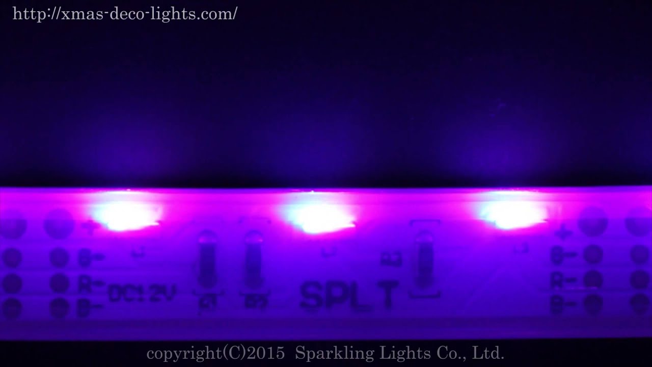 速くおよび自由な BonBon TokyoLEDストリップ LEDテープライト AC 100v 家庭用 PSEプラグ付き180SMD M LEDネオン ライト 防水 切断可 二列式 おしゃれ