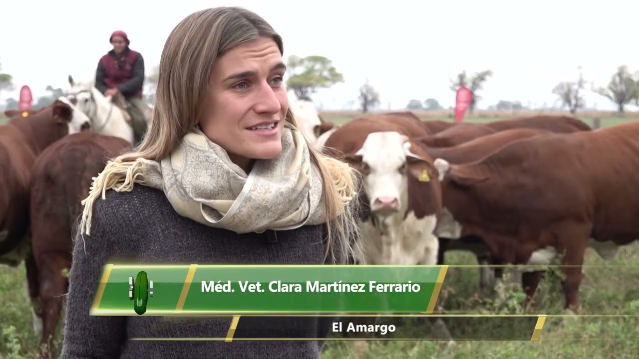 Agenda Ganadera - Méd. Vet. Clara Martínez Ferrario - 1-7-25