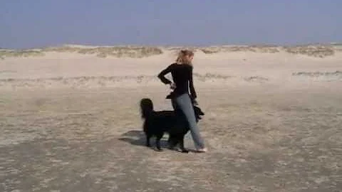 Dogdance Nessun Dorma Asim und Karen Uecker