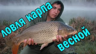 Ловля карпа весной. Карпфишинг(Группа Карпфишинг - http://vk.com/carpfishing_club Ловля карпа весной на планике на бойла. Карпфишинг. Ловля карпа весн..., 2014-05-09T03:16:20.000Z)