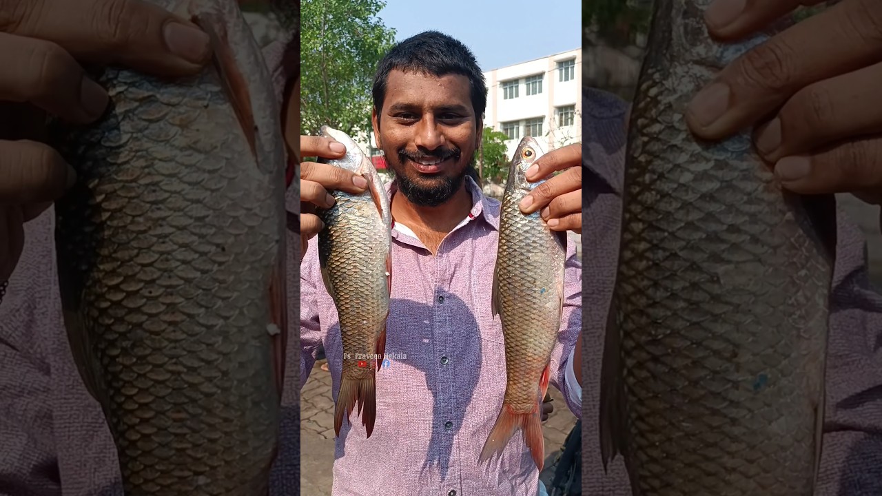 పచ్చి చింతాకు పచ్చి చేపల పులుసు 😋