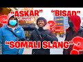 SOMALI SLANG WORDS - HOW WELL DO PEOPLE  KNOW THEM ?