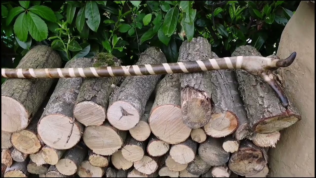 Учебник по пастушьей палке