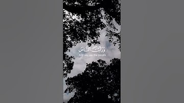 سورة النصر بصوت القارئ "إسلام صبحي"#القرآن الكريم#
