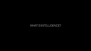 Intelligence is Intelligence