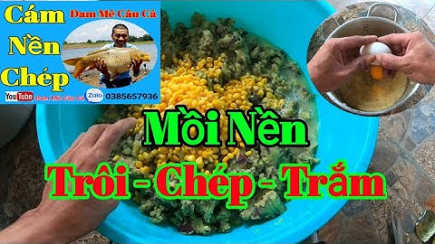 Bài Mồi Nền Khoai Lang ủ Chua, Chuyên Câu Cá Trôi, Chép, Trắm, Hiệu Quả - Dể Làm || Đam Mê Câu Cá