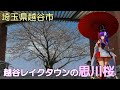 越谷レイクタウンの思川桜 #越谷市 #VRChatワールド紹介 #小山芳姫