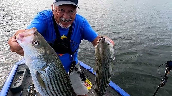 Conserving Virginia's Striped Bass: The Science of Catch and Release 
