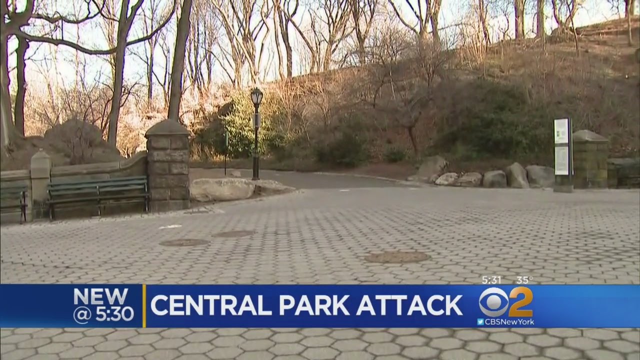 Cops Seek Suspect In Central Park Mugging Spree YouTube