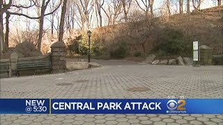 Cops Seek Suspect In Central Park Mugging Spree