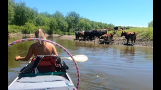 1:13 SICK DAY Paddling Grand Rapids to Jacobson Campground RM 1179 to 1140