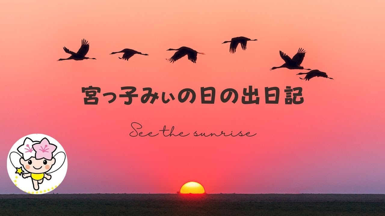 日の出 2023.12.17 646 YouTube