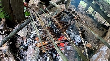 Hút nước bắt cá, cuộc sống tự nhiên