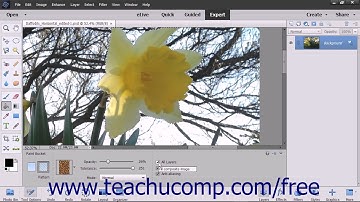 Photoshop Elements 15 Tutorial Using the Paint Bucket Tool Adobe Training