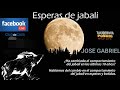 Esperas de jabali  ha evolucionado el jabali 