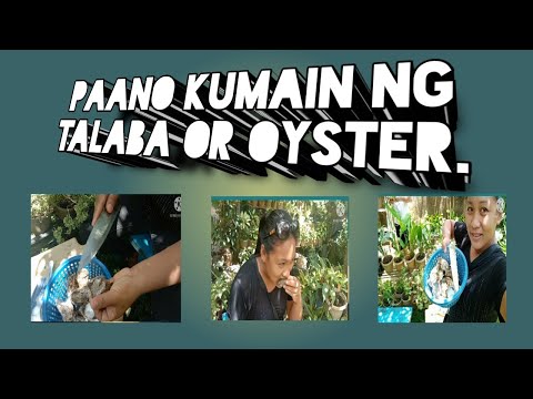 Video: Paano Kumain Ng Mga Talaba