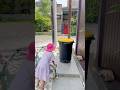 Ketemu kucing yg kmrn hanin cari kak🥰 #shortsviral #shortvideo #shorts #trending #viralvideo #fypシ