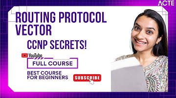 📘 Understanding Router Protocol Vectors in CCNP: Distance Vector & Path Vector