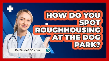 How Do You Spot Roughhousing At The Dog Park? - PetGuide360.com
